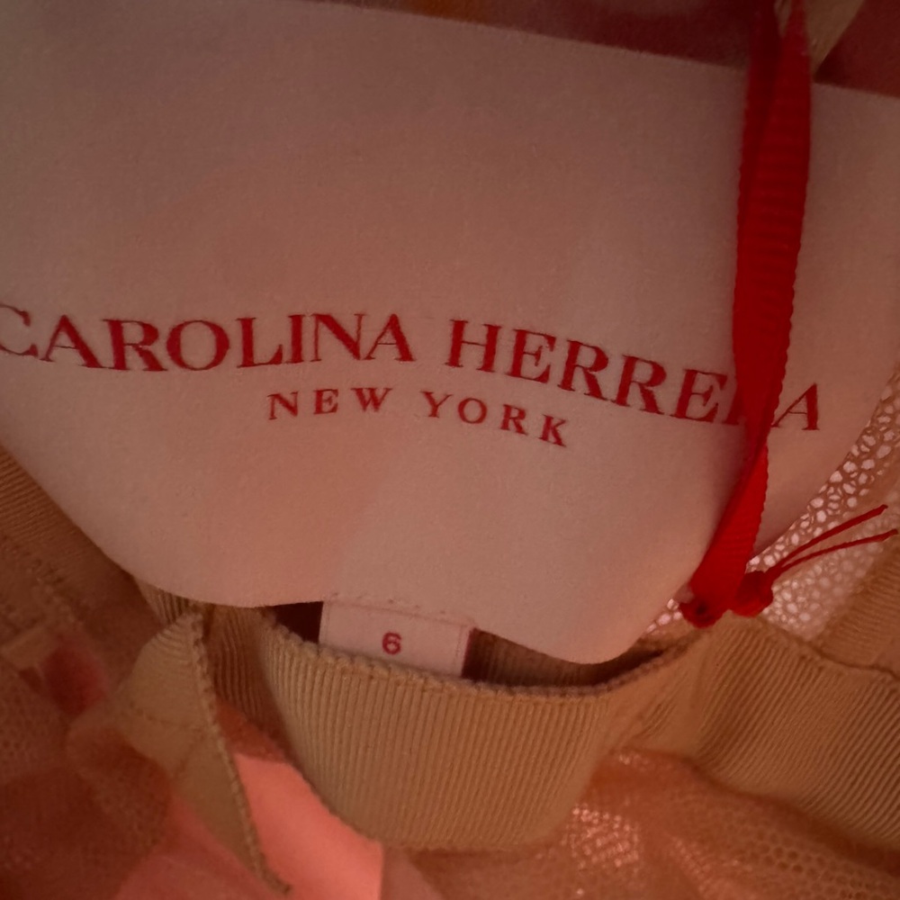 Carolina Herrera Silk Ruffled Gown - Picture 5 of 7